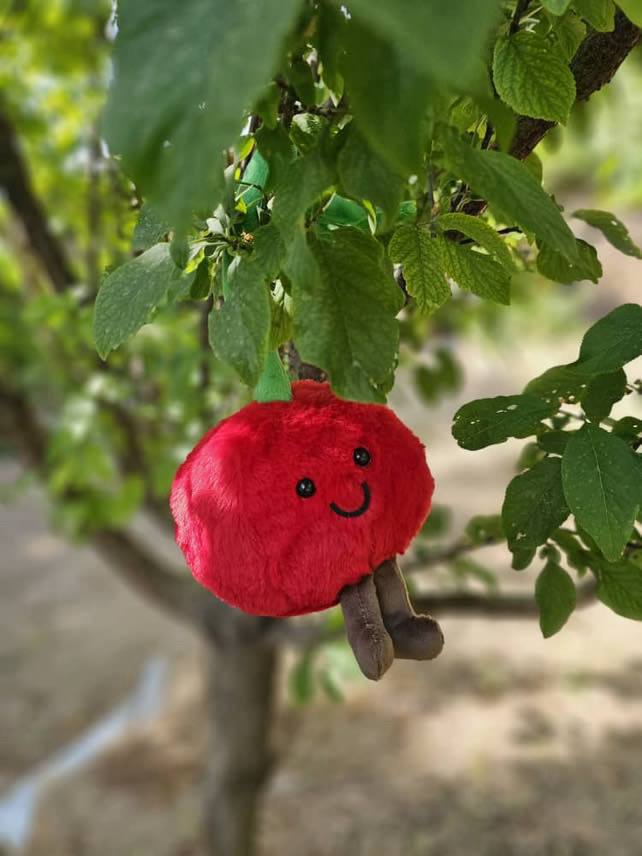 عروسک آلبالو اورجینال وارداتی