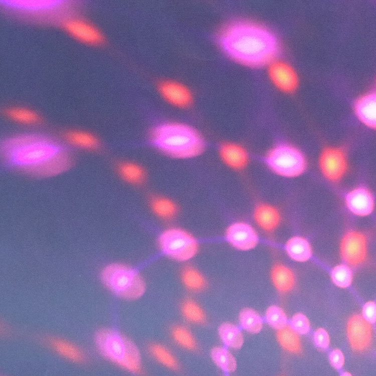 چراغ رقص نور گردان اسپیکر دار Dancing RGB LED